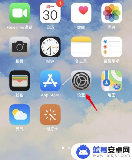 苹果手机如何取消触屏亮 iPhone怎么关闭轻触亮屏功能