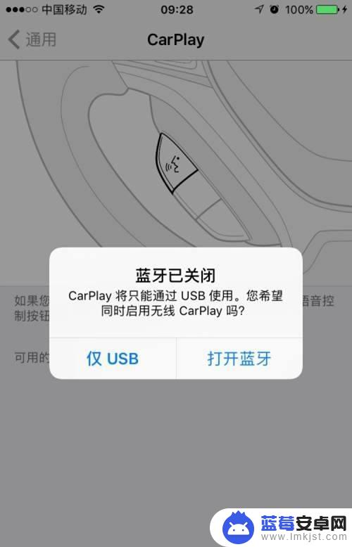 苹果手机如何设置carplay 苹果CarPlay怎样添加新的应用