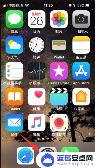 苹果手机怎么信任未受信任的应用 苹果手机app应用未受信任怎么处理