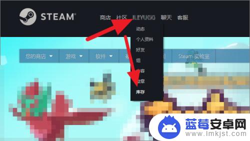 steam网页怎么进库存 Steam网页版如何查看自己的游戏收藏