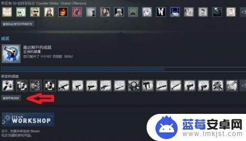 steam如何看游戏成就 STEAM如何查看某一款游戏的成就