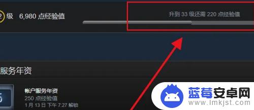 steam如何按等级高低排序 Steam等级在哪个界面看