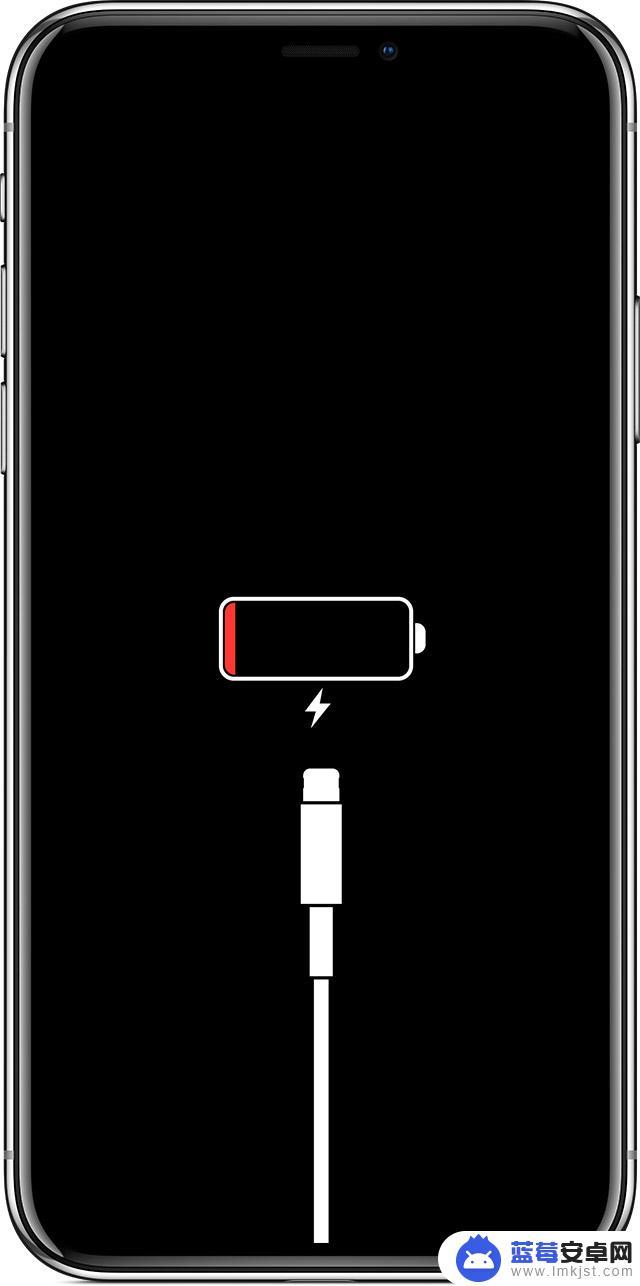 iphone电量耗尽后充电没充电标志 iPhone 电池彻底耗尽后无法开机怎么办