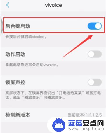 vivo助手叫什么怎么唤醒 vivo手机中文语音助手叫什么