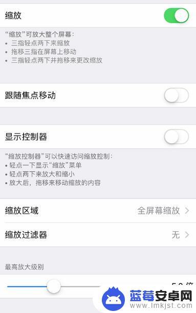 苹果手机缩放了又在密码页面怎么办 如何在 iPhone XS Max 上关闭屏幕缩放