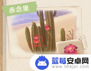 原神植物图鉴大全 《原神》须弥沙漠生物植物一览表