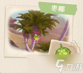 原神植物图鉴大全 《原神》须弥沙漠生物植物一览表