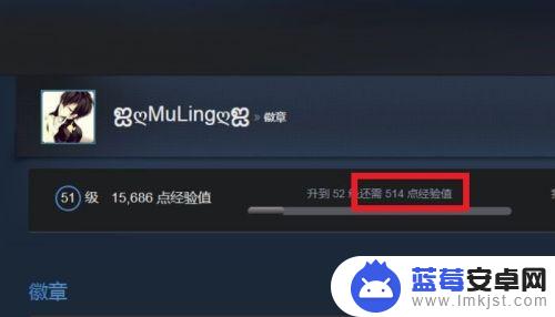 steam 和卡 STEAM怎么升级游戏