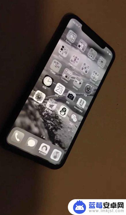 苹果手机如何三击调整灰度 iPhone 灰度模式设置方法