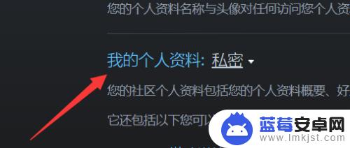 steam怎么公布个人资料 steam资料怎么公开设置