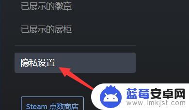 steam怎么公布个人资料 steam资料怎么公开设置