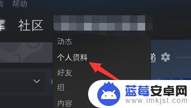 steam怎么公布个人资料 steam资料怎么公开设置