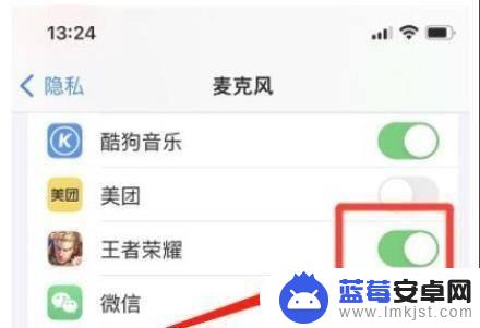 苹果手机王者荣耀声音权限怎么设置 iPhone11Pro手机如何设置王者荣耀麦克风权限