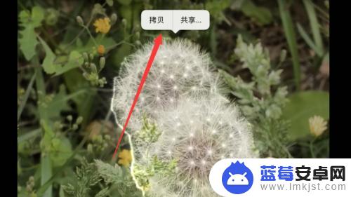 苹果手机长按照片抠图怎么保存 iPhone抠图保存方法