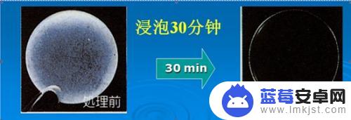 手机镜头进水怎么清洁 除蛋白护理液的使用步骤