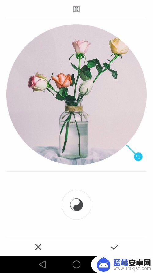 圆形图片怎么裁剪手机 手机照片如何裁剪成圆形