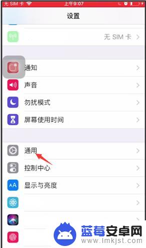 苹果手机如何拍出色彩反转 iPhone手机如何设置反差色