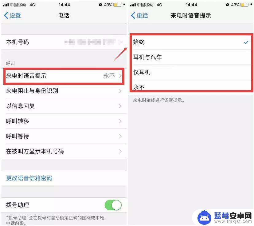 怎么打开手机语音提示 iPhone 来电语音提示功能