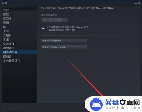 steam自带浏览器怎么打开 Steam客户端网页浏览器主页怎么设置