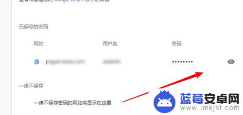 手机浏览器保存密码在哪里查看 如何在浏览器中查看已保存的密码