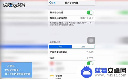灵寿苹果手机怎么用流量 怎样在苹果手机上打开数据流量