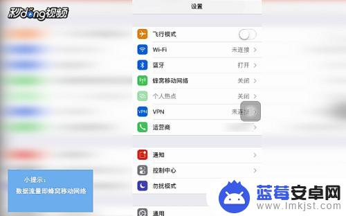 灵寿苹果手机怎么用流量 怎样在苹果手机上打开数据流量