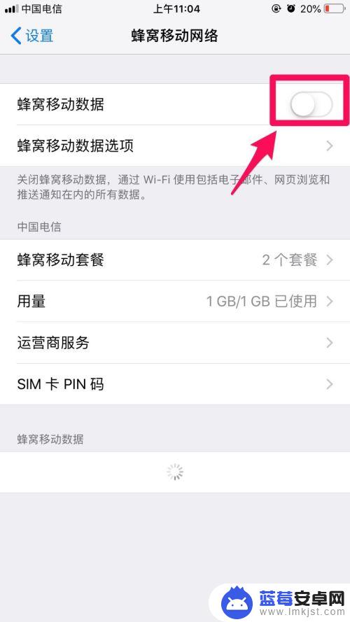 苹果手机怎么移动设置 iPhone如何修改移动网络设置