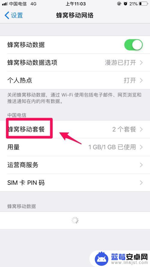 苹果手机怎么移动设置 iPhone如何修改移动网络设置