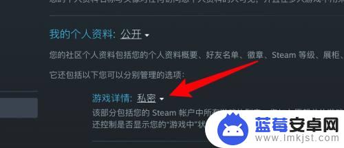 steam软件怎么隐藏 如何在Steam上隐藏游戏不让好友看到