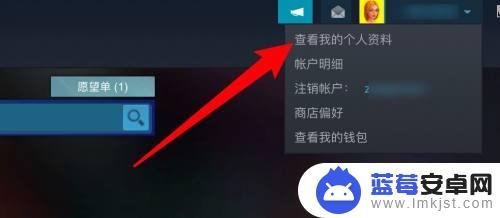 steam软件怎么隐藏 如何在Steam上隐藏游戏不让好友看到