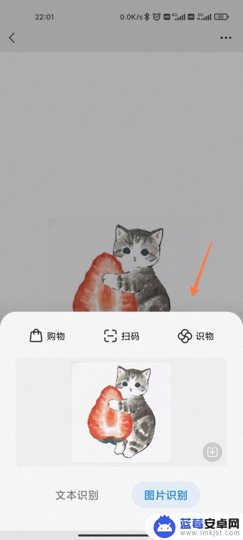 小米手机长按提取图片 小米手机如何使用图片识别功能