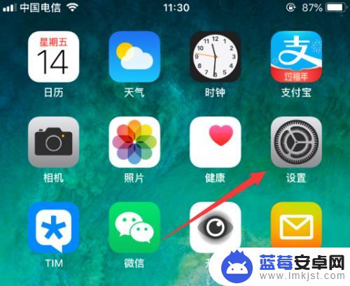 苹果手机怎么看每个app用了多少流量 iPhone 单个应用流量使用情况查看步骤