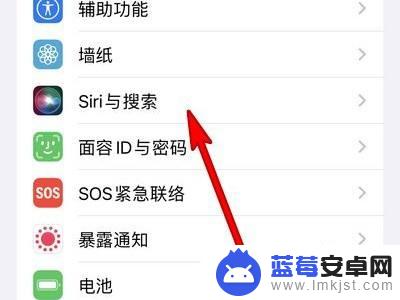 iphone主人设置 怎样在苹果手机上设置主人是谁