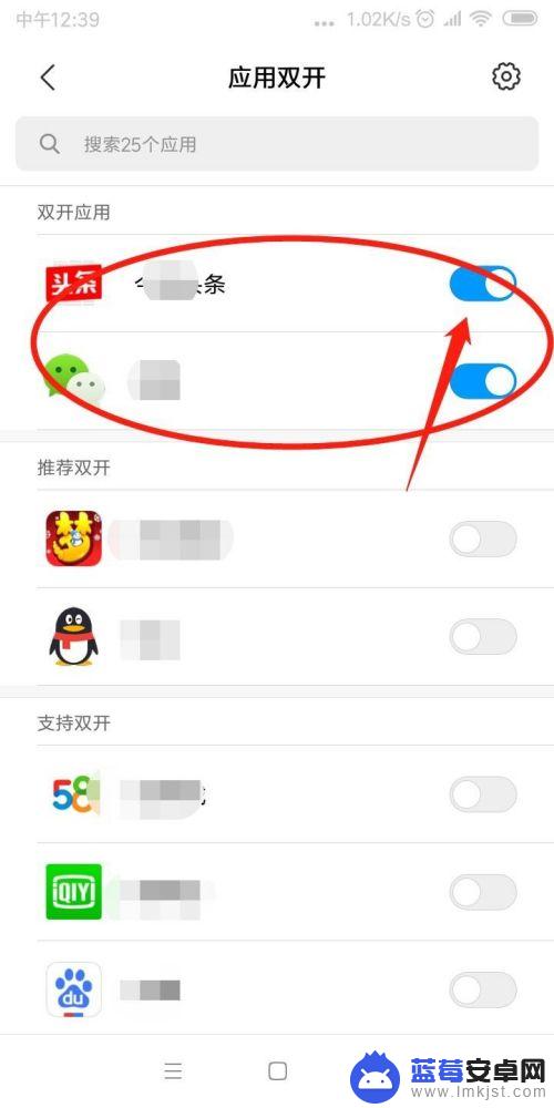 系统应用双开怎么设置手机 如何在iPhone上设置双开应用