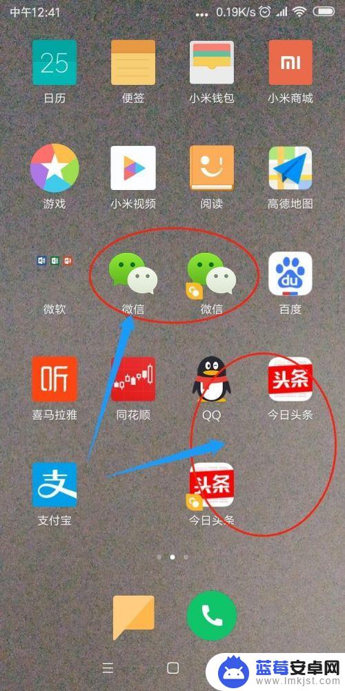 系统应用双开怎么设置手机 如何在iPhone上设置双开应用