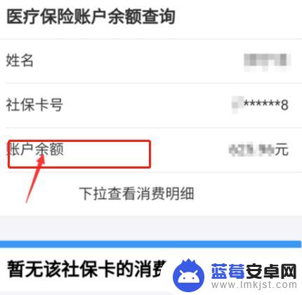 社保卡怎么在手机上查询余额 怎样在网上查询社保卡的余额