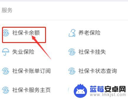 社保卡怎么在手机上查询余额 怎样在网上查询社保卡的余额