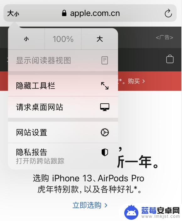 苹果手机safari字体大小设置 iOS 15 Safari浏览器自定义技巧