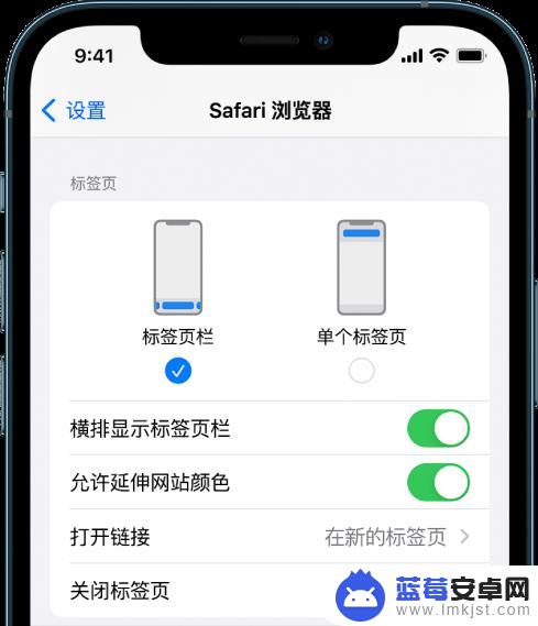 苹果手机safari字体大小设置 iOS 15 Safari浏览器自定义技巧