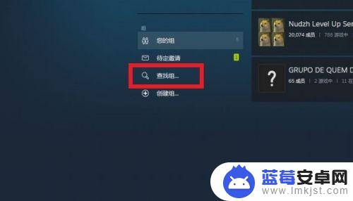 steam怎么进队伍 STEAM如何查找并加入一个组群