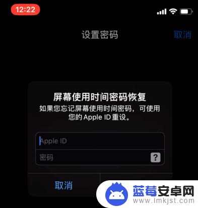 苹果手机怎么把应用锁起来别让人知道 iPhone手机如何设置APP锁