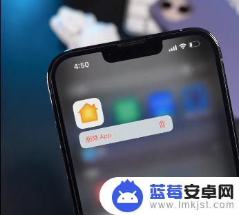 苹果家庭账号怎么删掉手机 iPhone家庭共享如何删除