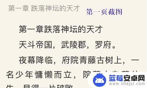 苹果手机怎么发长图照片 iPhone如何截取长截图