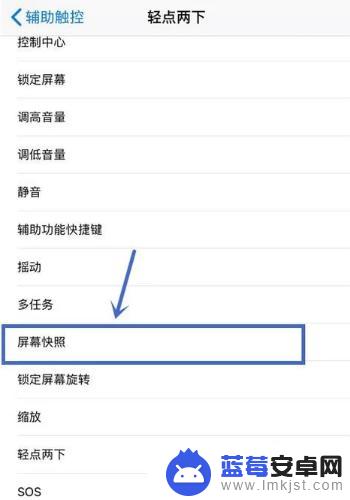 手机怎么拍出小白点 iPhone如何设置小白点进行快速截图