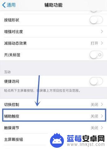 手机怎么拍出小白点 iPhone如何设置小白点进行快速截图